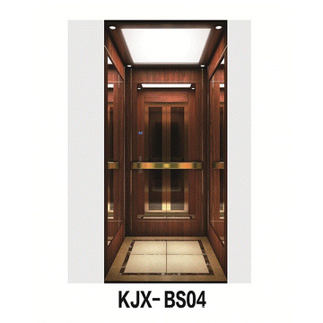 Ascenseur de villa avec acier inoxydable fini en bois et en titane (KJX-BS04)